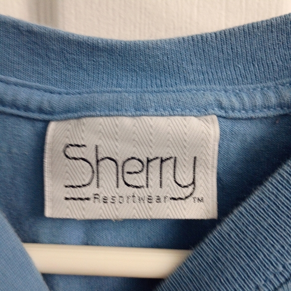 Blue Denali Park Alaska Resort T-Shirt - Picture 2 of 4